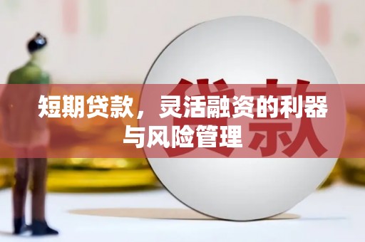 凉山短期贷款，灵活融资的利器与风险管理