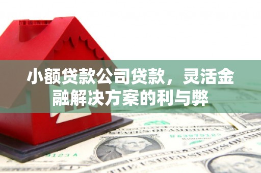 凉山小额贷款公司贷款，灵活金融解决方案的利与弊