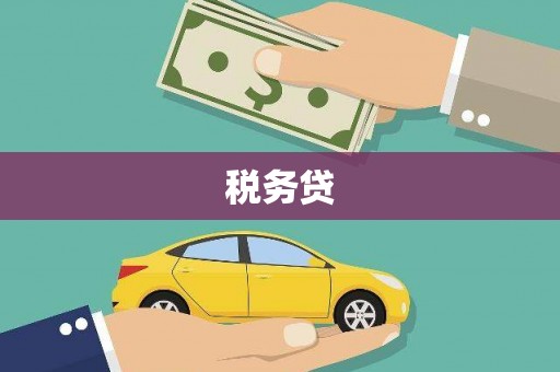 凉山税务贷